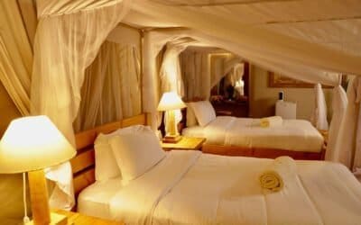 Pellentesque gravida metus nec arcu efficitur,